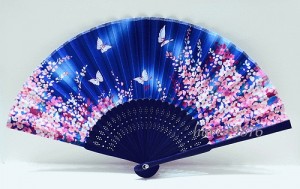 Fan - PhotoPrintPrices.com