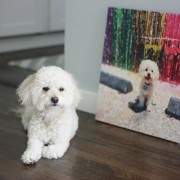 Make Your Own Photo Canvas Print