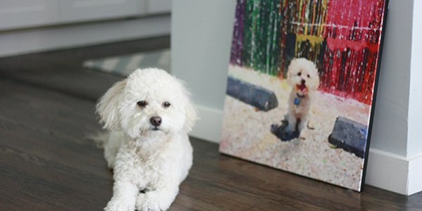 Make Your Own Photo Canvas Print