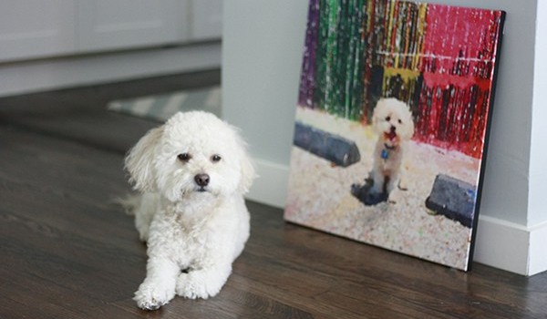 Make Your Own Photo Canvas Print